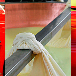 Image maserati ferrari parmigiano cheese tour